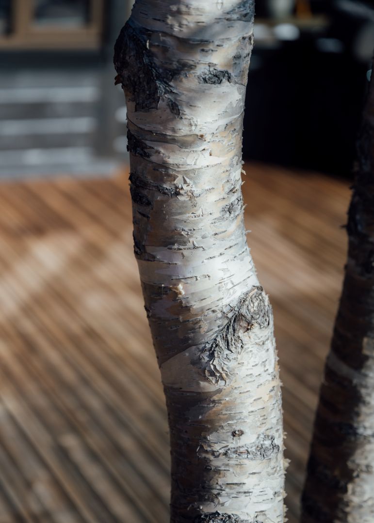 Bjørk Even Lundefaret2 Vgzod5 (1)