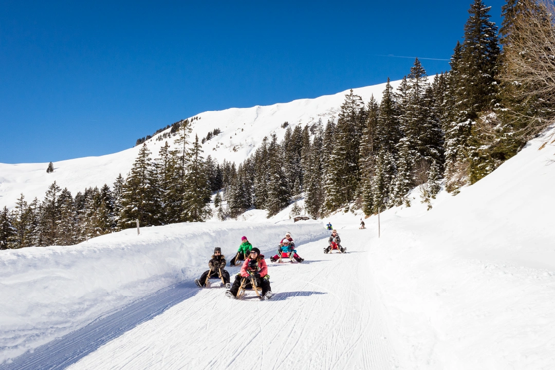 CTA Luge a Group of Friends Sledding in Les Diablerets
