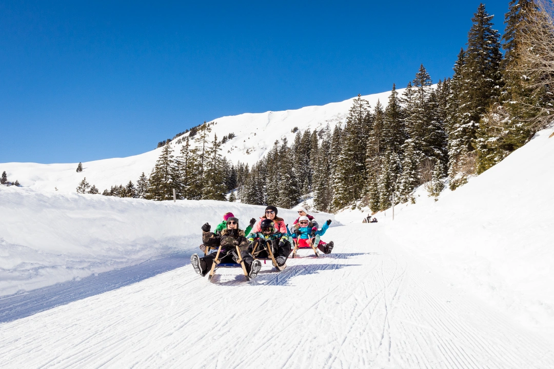 CTA Luge a Group Waving While Sledding in Les Diablerets