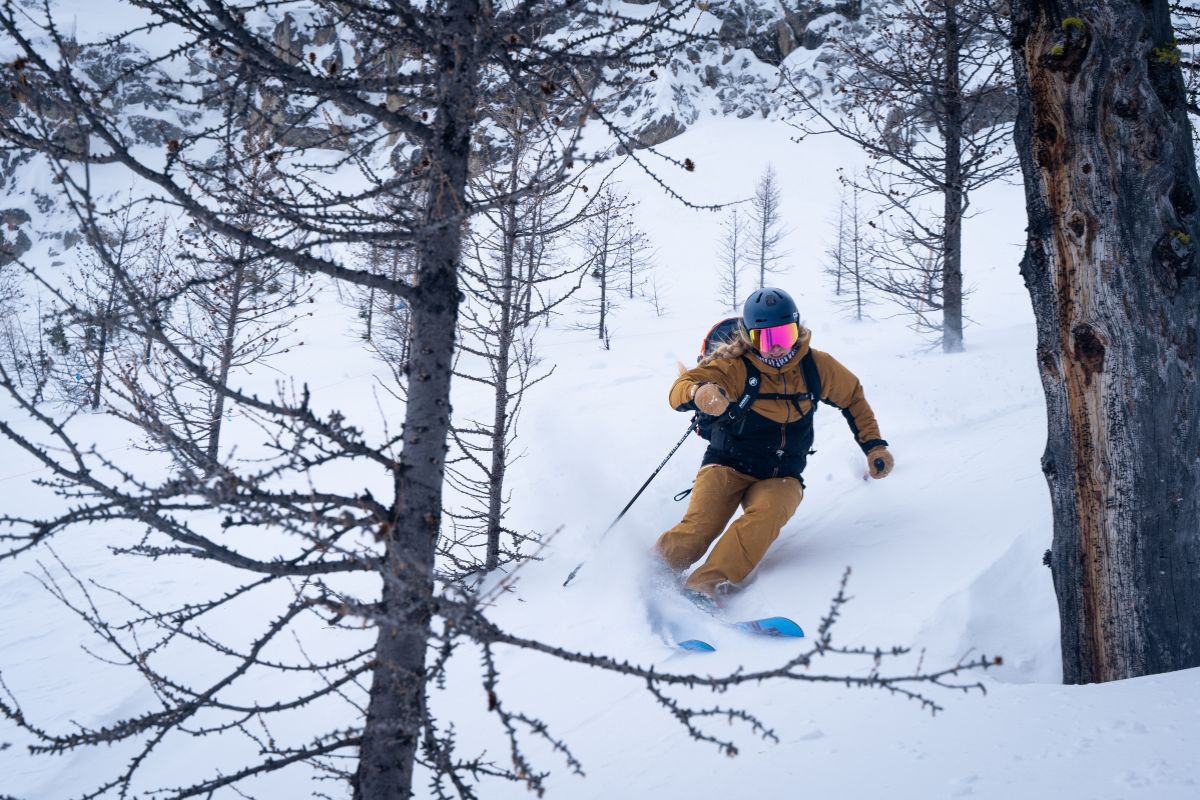 02b the Best Glades and Tree Runs at Ski Big3 Jill Scarpato