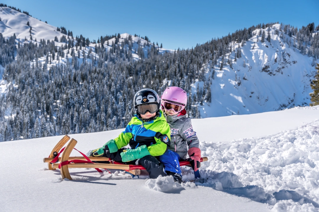 CTA Luge Two Kids on a Sled in Les Diablerets