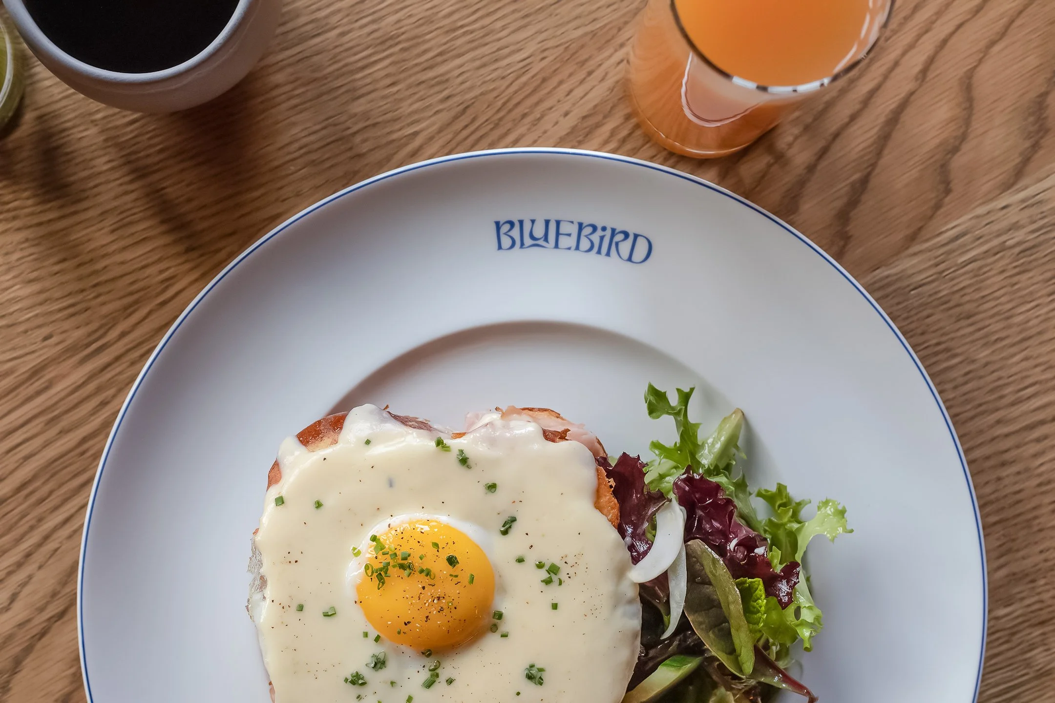 Bluebird+website+croque+bright
