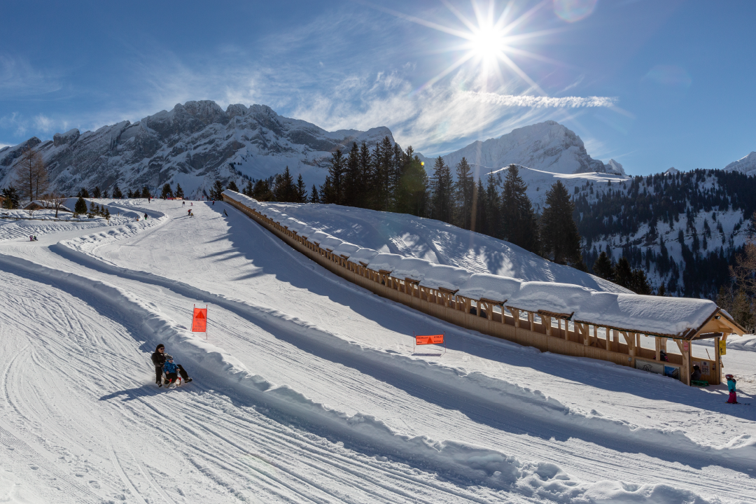 CTA Ski Frience Ski & Luge 01