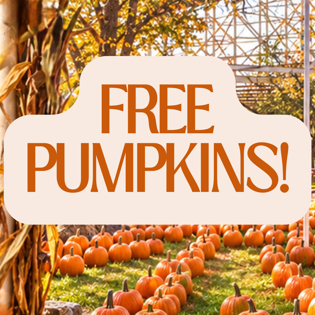 Free pumpkins at Indiana Beach on Halloween