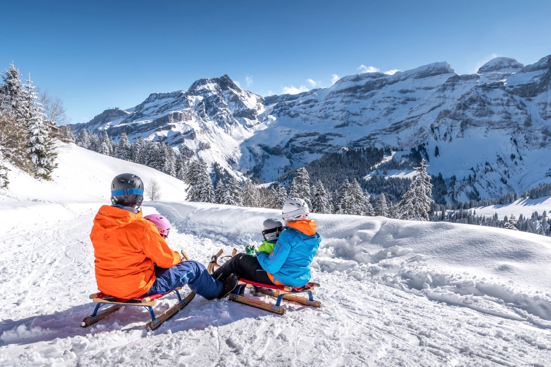 CTA Luge a Father With His Kids on the Sled Run in Les Diablerets