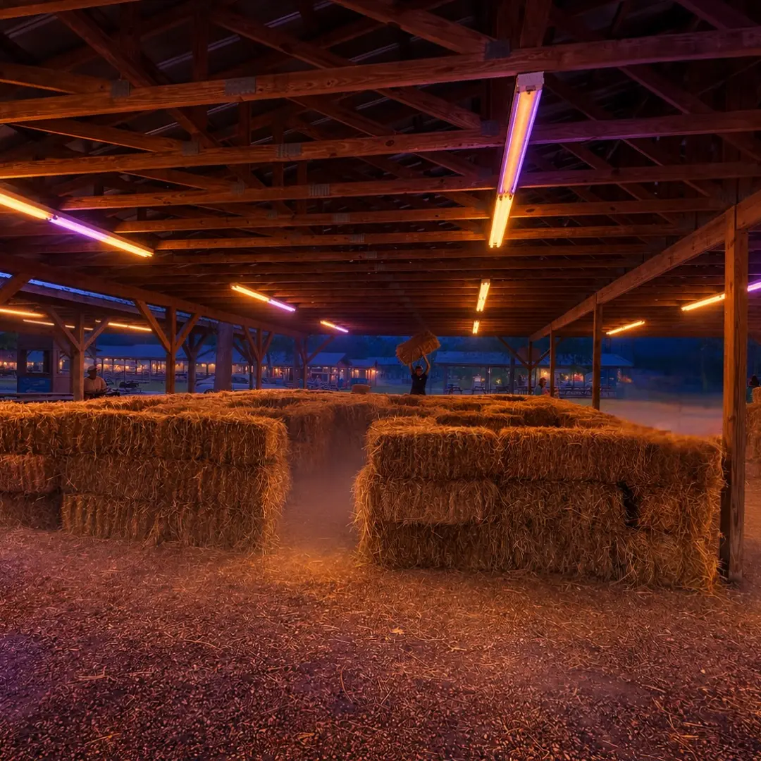 Hay Maze at Spookah
