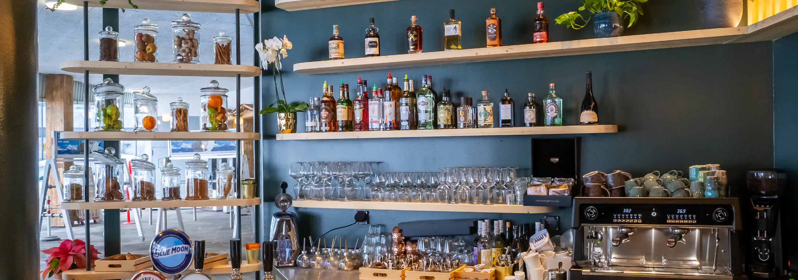 Hero Desktop Roc-Star